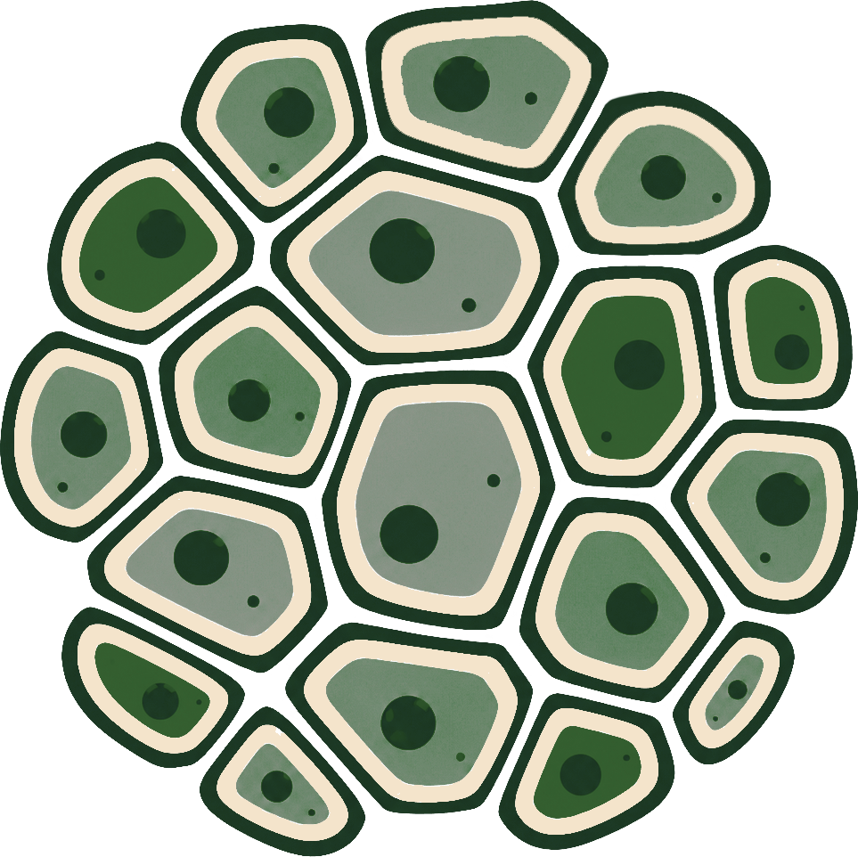Solukko logo