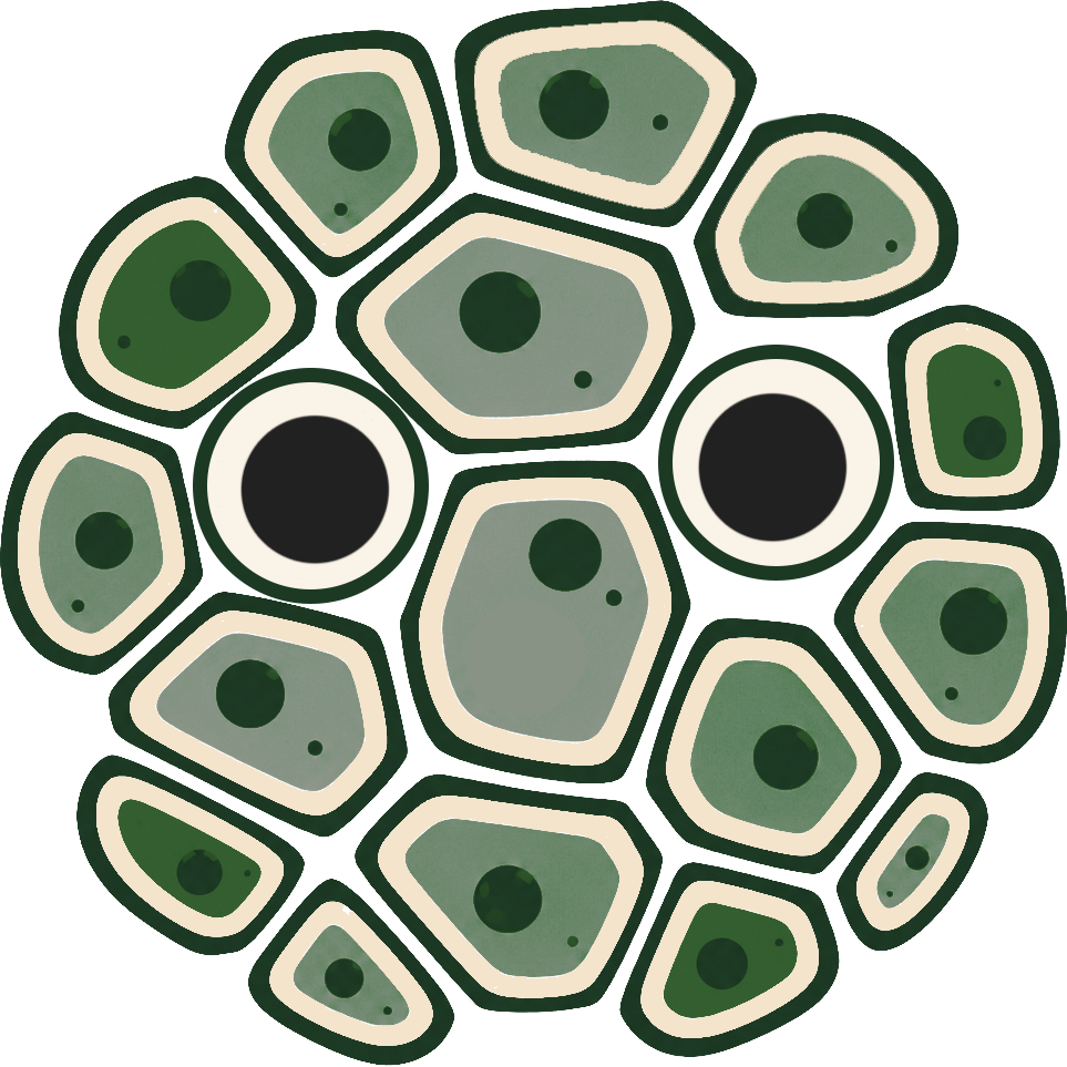Solukko
